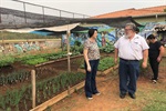 O principal objetivo da experiência, explica Afonso Peche, é passar a diante o conceito da cooperação social.