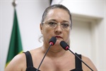 Coronel Adriana ocupou a tribuna da 65ª reunião ordinária para explicar o teor da emenda 2, de sua autoria.