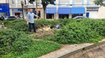 Laércio Trevisan Jr (PL) apontou ao Executivo melhorias e manutenção na Praça José Bonifácio