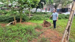 Laércio Trevisan Jr (PL) apontou ao Executivo melhorias e manutenção na Praça José Bonifácio