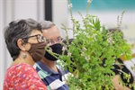 Evento abordou dicas para criação de abelhas nativas no ambiente urbano