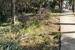 Parque Orlanda I
