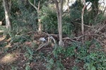 Parque Orlanda I