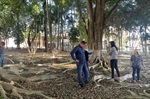 Rua Manoel de Souza Almeida 