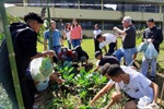 Pedro Kawai participou da colheita da horta do projeto que busca conscientizar jovens sobre a boa relação com o meio ambiente e a produção de alimentos