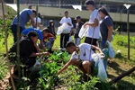 Pedro Kawai participou da colheita da horta do projeto que busca conscientizar jovens sobre a boa relação com o meio ambiente e a produção de alimentos