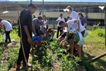 Pedro Kawai participou da colheita da horta do projeto que busca conscientizar jovens sobre a boa relação com o meio ambiente e a produção de alimentos