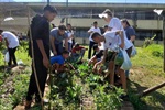 Pedro Kawai participou da colheita da horta do projeto que busca conscientizar jovens sobre a boa relação com o meio ambiente e a produção de alimentos