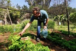 Pedro Kawai participou da colheita da horta do projeto que busca conscientizar jovens sobre a boa relação com o meio ambiente e a produção de alimentos