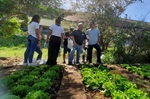 Pedro Kawai participou da colheita da horta do projeto que busca conscientizar jovens sobre a boa relação com o meio ambiente e a produção de alimentos