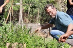 Pedro Kawai participou da colheita da horta do projeto que busca conscientizar jovens sobre a boa relação com o meio ambiente e a produção de alimentos