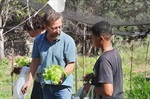 Pedro Kawai participou da colheita da horta do projeto que busca conscientizar jovens sobre a boa relação com o meio ambiente e a produção de alimentos