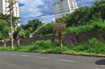 Vereador solicita limpeza urgente de calçada no Jardim Elite