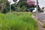 Moradores do Vila Rezende reclamam de mato alto em área verde