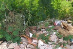 Acácio Godoy (Avante) visitou área no Monte Líbano após solicitação de moradores e, na sequência, encaminhou indicação ao Executivo pedindo corte de mato e retirada de lixo e entulho