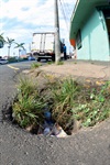 Burraco na avenida Armando de Salles de Oliveira 