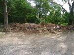 Galhos, entulho e lixo se acumulam na área verde localizada na rua Antônio Oriani