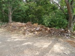 Galhos, entulho e lixo se acumulam na área verde localizada na rua Antônio Oriani