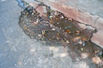 Foto mostra buraco na rua Manoel Ferraz de Camargo, na Vila Sônia