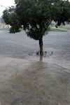 Foto tirada por morador mostra alagamento em dia de chuva