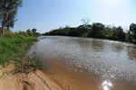 Jornada ambiental de Longatto sensibiliza comunidade escolar