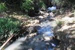 Jornada ambiental de Longatto sensibiliza comunidade escolar