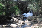 Jornada ambiental de Longatto sensibiliza comunidade escolar