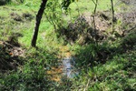 Jornada ambiental de Longatto sensibiliza comunidade escolar