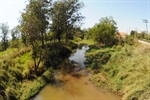 Jornada ambiental de Longatto sensibiliza comunidade escolar