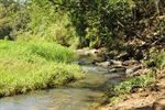 Jornada ambiental de Longatto sensibiliza comunidade escolar