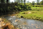 Jornada ambiental de Longatto sensibiliza comunidade escolar