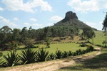 Morro do Cuscuzeiro - Analândia