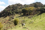 Jornada ambiental de Longatto sensibiliza comunidade escolar