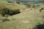 Jornada ambiental de Longatto sensibiliza comunidade escolar