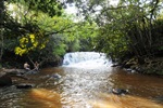 Jornada ambiental de Longatto sensibiliza comunidade escolar