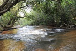 Jornada ambiental de Longatto sensibiliza comunidade escolar