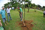 Longatto envolve crianças, pais e professores no plantio de árvores