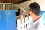 Vereador com cavalo utilizado na equoterapia