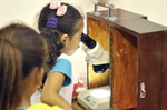 Os estudantes puderam observar a bactéria hydra no microscópio