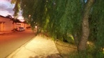Rua Oscar Lourenço Fernandes: árvores dificultam a travessia
