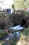 Longatto foca importância do Fórum Corumbataí em evento internacional