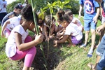 Plantio ecológico envolveu professores e alunos da "Oracy da Silva"