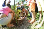 Plantio ecológico envolveu professores e alunos da "Oracy da Silva"