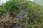 Acúmulo de água em terreno no Pau Queimado gera insegurança em proprietária