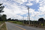 Foram substituídos três postes primários e realizadas podas na rede primária do bairro e em toda extensão do alimentador NZE-02.