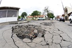 Borrachudos tomam conta da rua Pedro Morgante