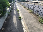 Calçada da Ponte Irmãos Rebouças antes do pedido do vereador Moschini