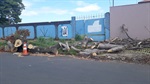 Troncos e galhos de árvores deixados na calçada pela Sedema 