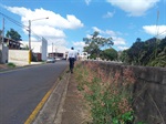 Trecho da avenida dos Operários está tomado pelo mato