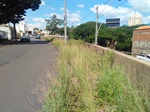 Trecho da avenida dos Operários está tomado pelo mato